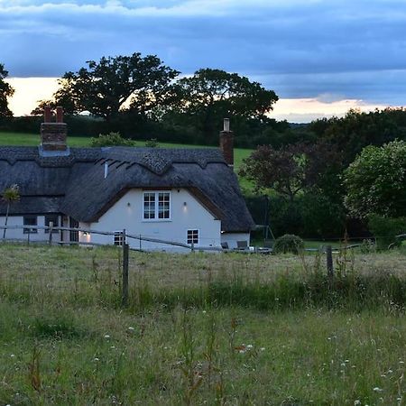 Chestnut Cottage, New Forest, Beaulieu Village Esterno foto