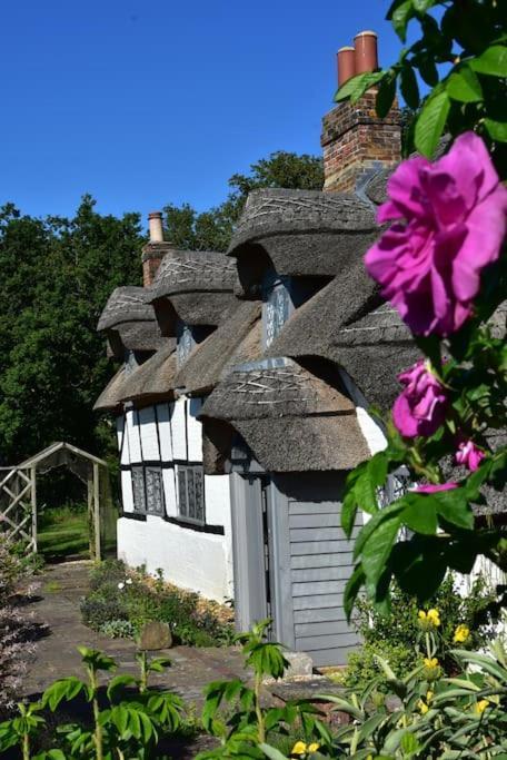 Chestnut Cottage, New Forest, Beaulieu Village Esterno foto