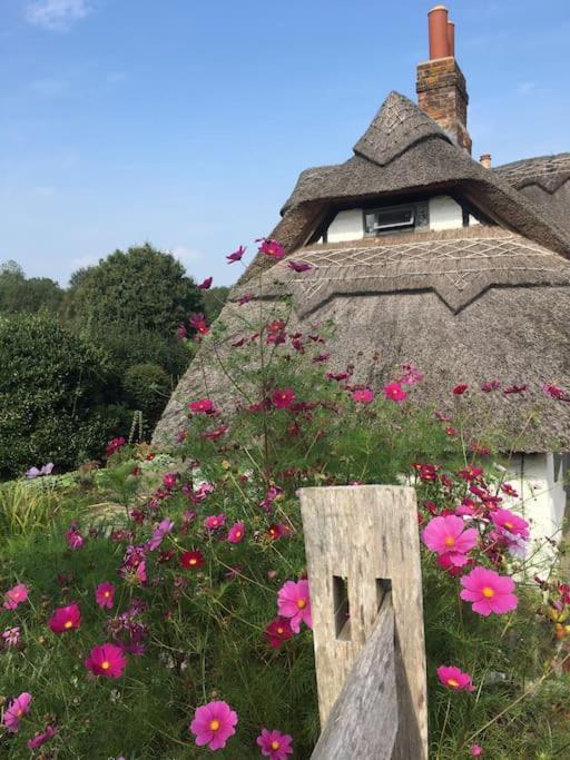 Chestnut Cottage, New Forest, Beaulieu Village Esterno foto