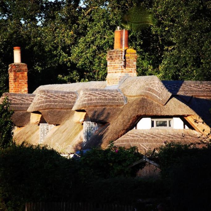 Chestnut Cottage, New Forest, Beaulieu Village Esterno foto